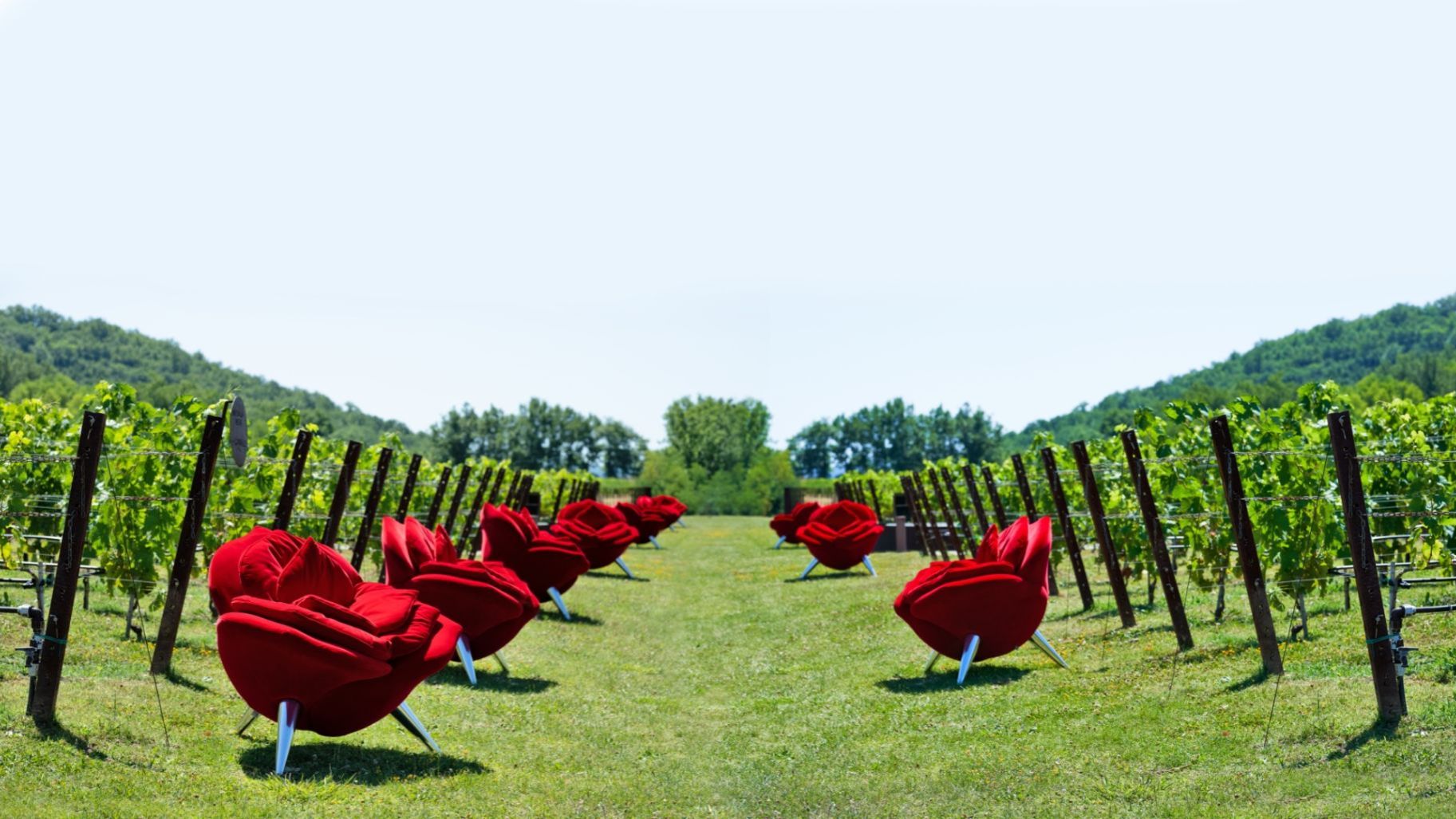   Rose Chair.  The armchairs recall the vine-growing tradition whereby roses had to be planted at the head of each row. 