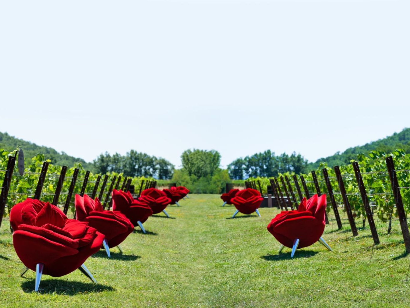   Rose Chair . Die Sessel erinnern an die Weinbautradition, bei der am Kopf jeder Reihe Rosen gepflanzt werden mussten. 