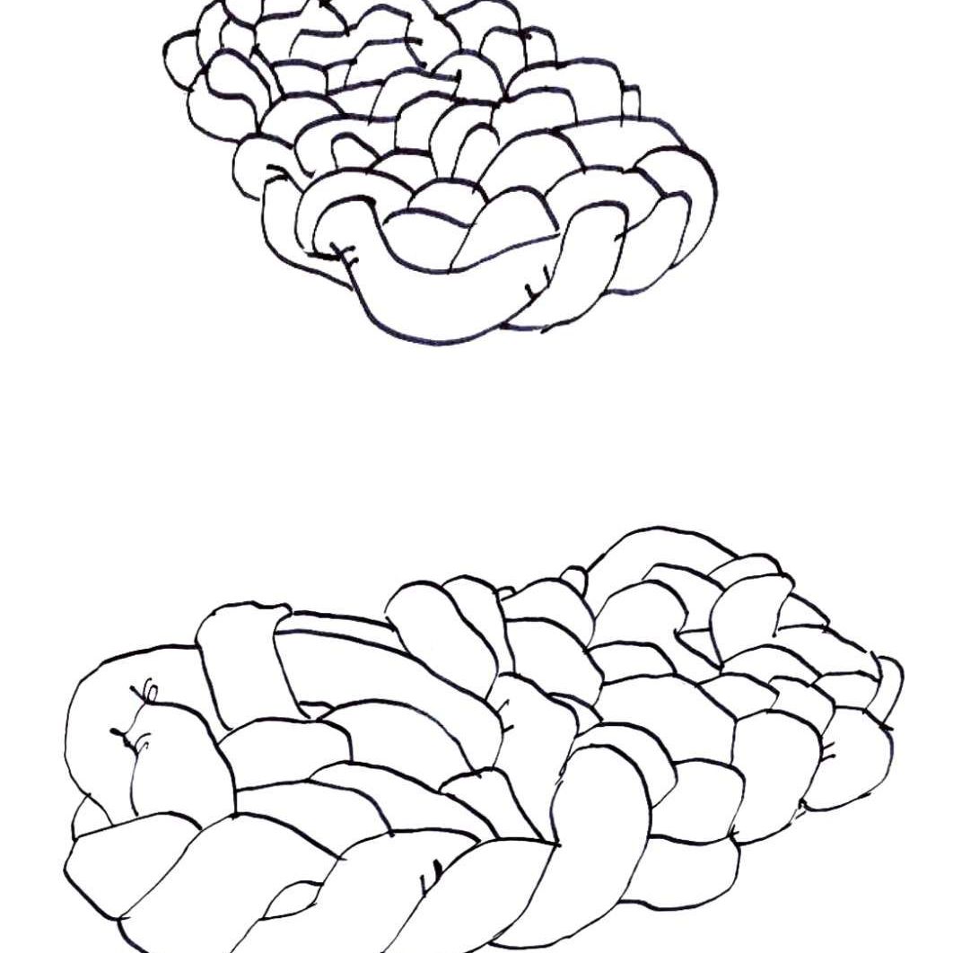   Boa . Sketch by Fernando und Humberto Campana 