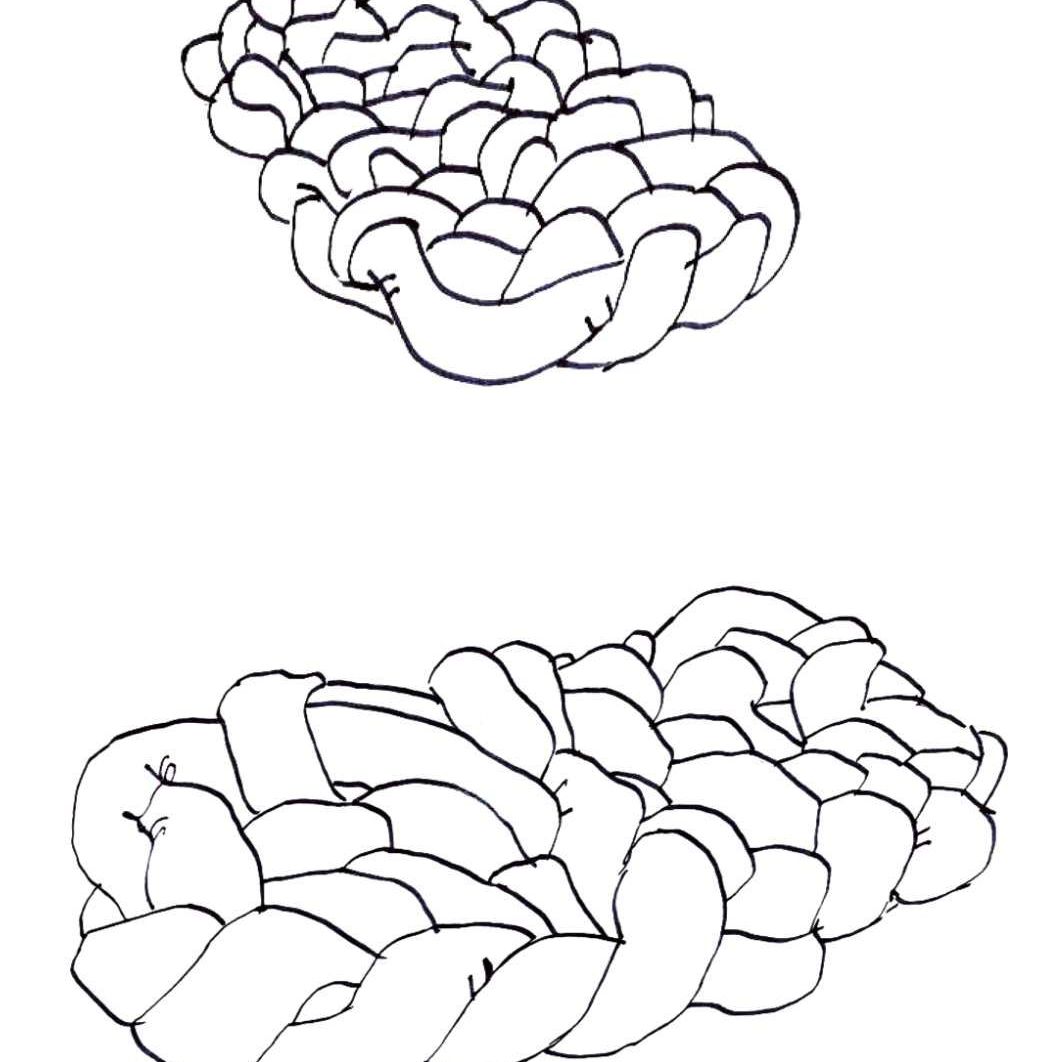   Boa . Croquis de Fernando et Humberto Campana 