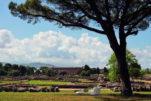  Chiara. Der Sessel blickt auf die stimmungsvolle archäologische Stätte von Paestum, der antiken Stadt der Magna Graecia. 